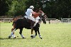 UKPA  NC Sat_1261